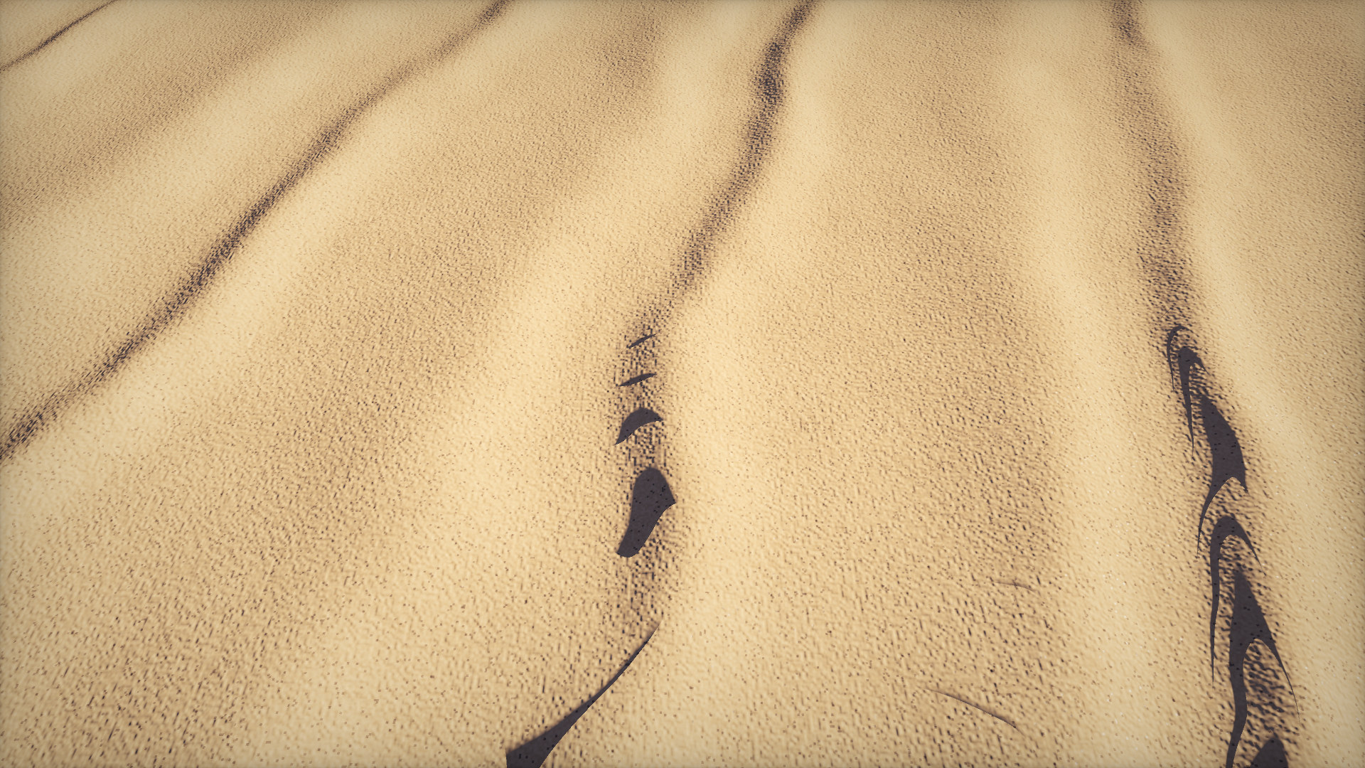 Close view of wind ripples in fine sand, low sun picking out each crest.