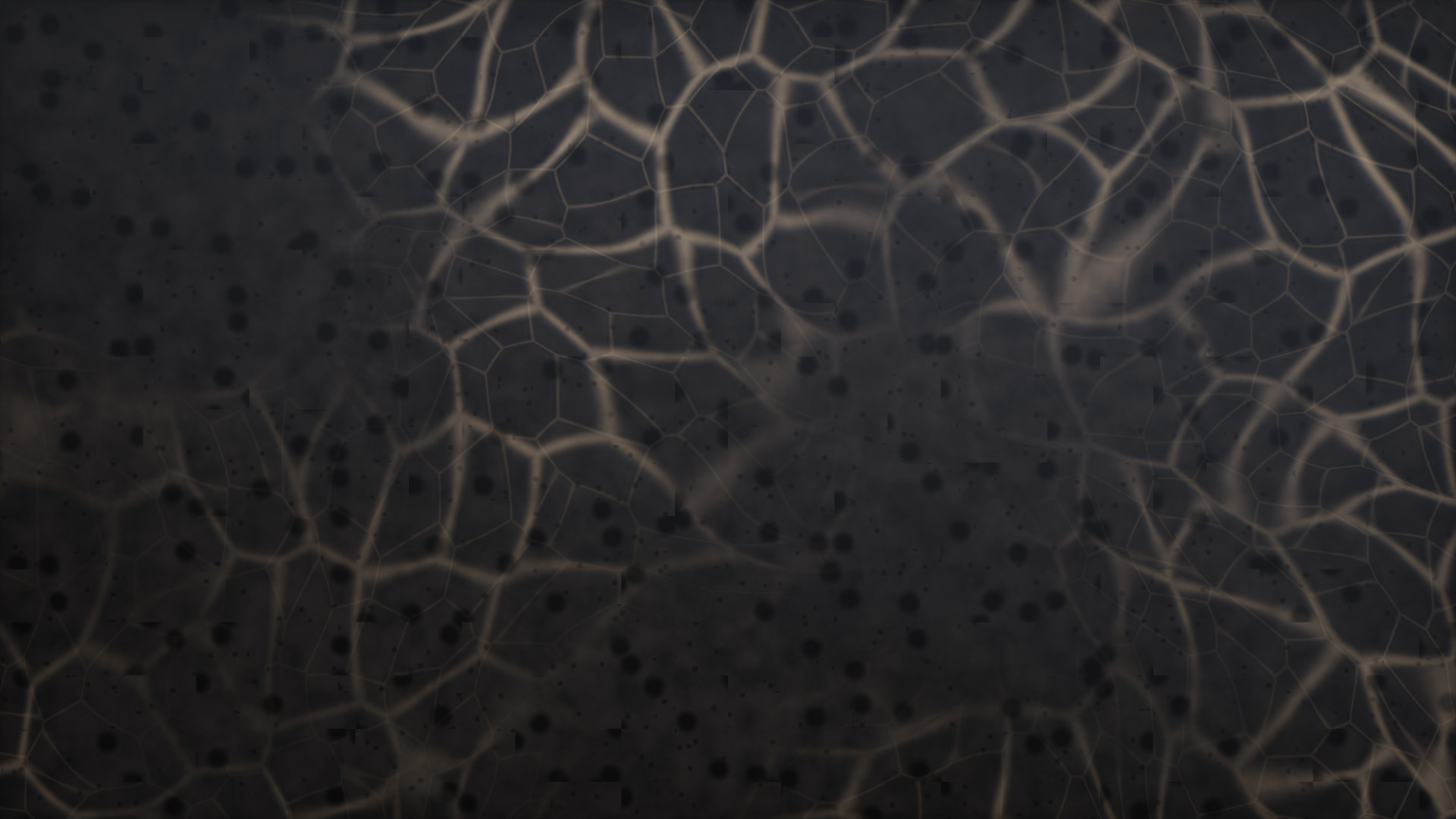 Top-down macro of dark pitted basalt under a thin layer of still water, a net of light across it.